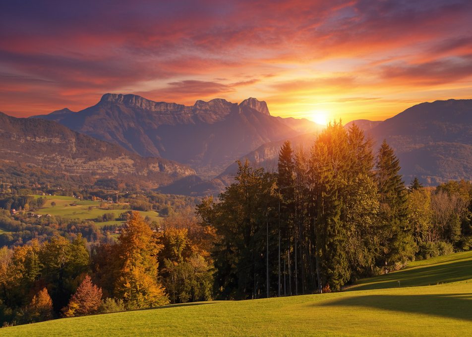 bois vs club hybride Bois de golf vs club hybride : Quelles sont les différences clés ?