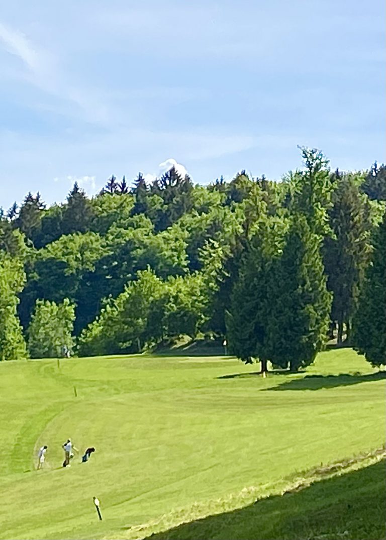 Fairway en régulation : comprendre et améliorer cette statistique clé au golf