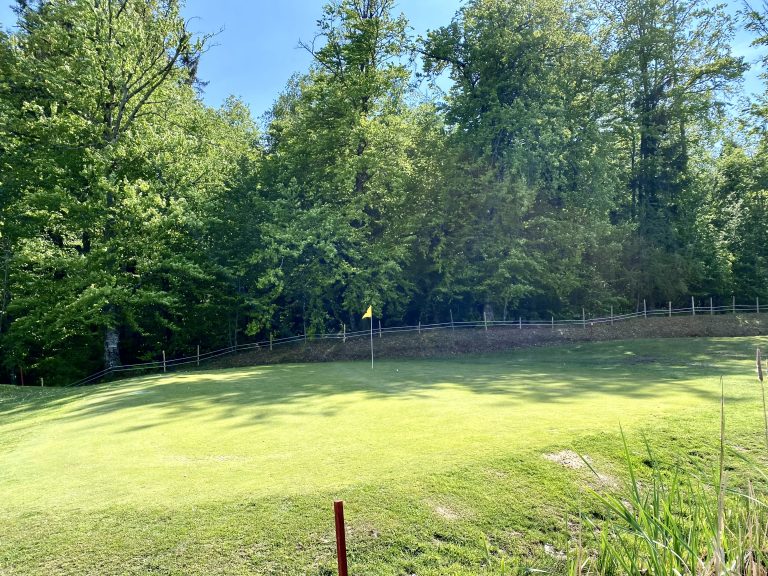 Petit jeu au golf : la méthode la plus rapide pour baisser votre handicap