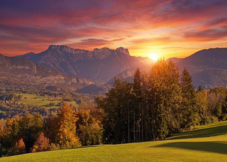 bois vs club hybride Bois de golf vs club hybride : Quelles sont les différences clés ?