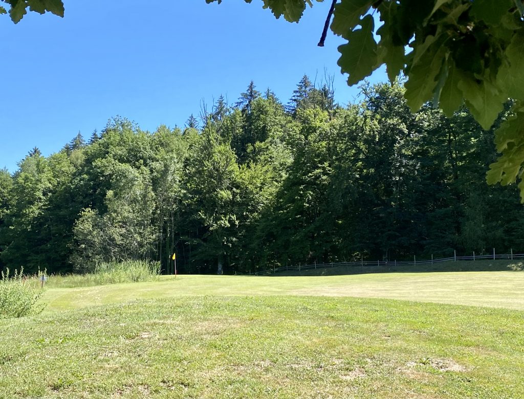 Bois de golf vs club hybride : différences clés