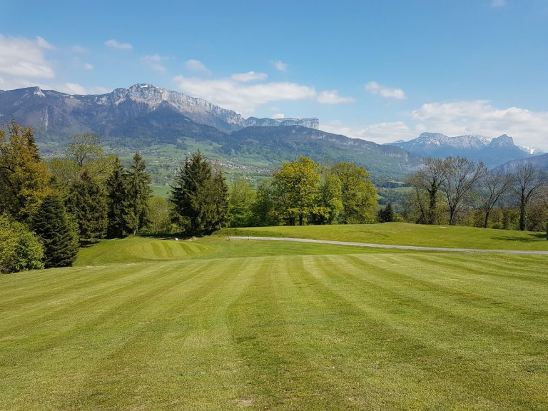 Quel driver choisir quand on débute le golf ? Guide simple pour bien démarrer